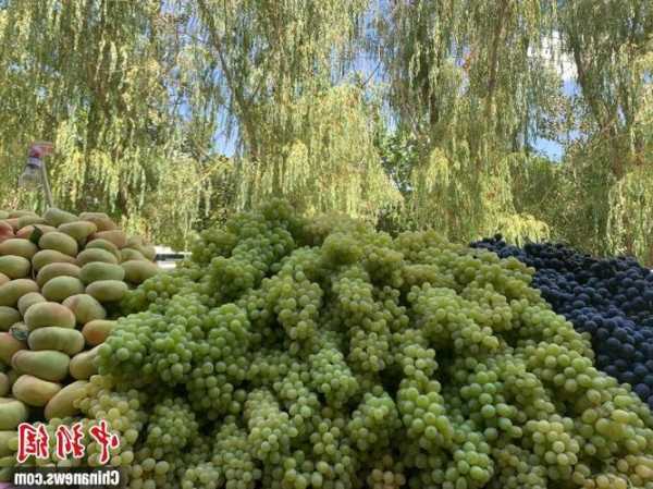 阿克苏水果风幕柜哪家好，阿克苏水果特产有哪些！