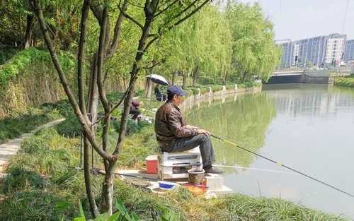 西湖怎么样钓鱼好，西湖野钓？