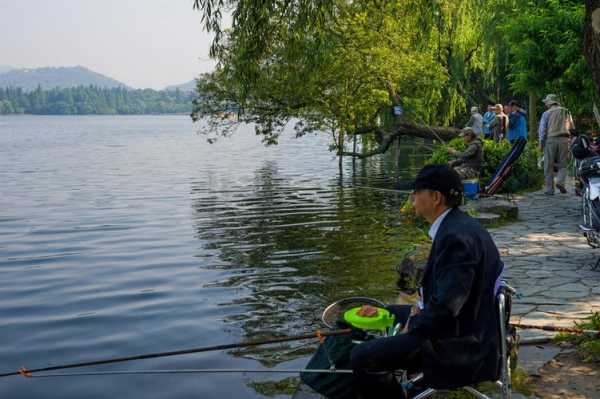 西湖怎么样钓鱼好，西湖野钓？