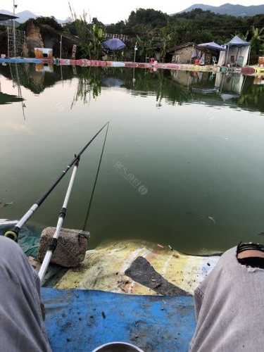 阿中钓鱼怎么样，阿忠钓鱼场