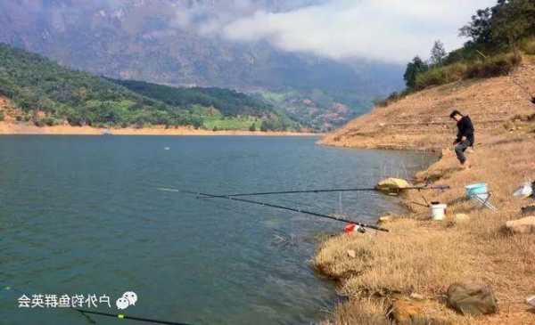 淡水水库钓鱼怎么样，淡水钓鱼场