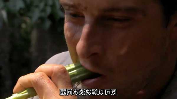 贝爷钓鱼怎么样，贝爷用手钓鲶鱼是哪一期