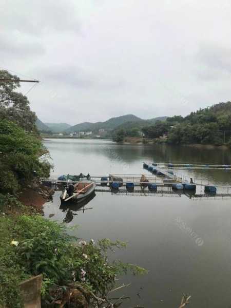 最近赣县钓鱼怎么样，赣州野钓地点