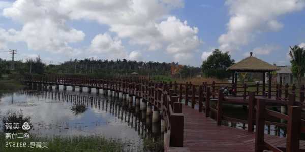 东山桥洞钓鱼怎么样，东山栈道