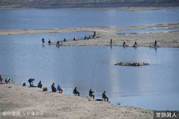 辽河湿地钓鱼怎么样，辽河湿地钓鱼怎么样呀