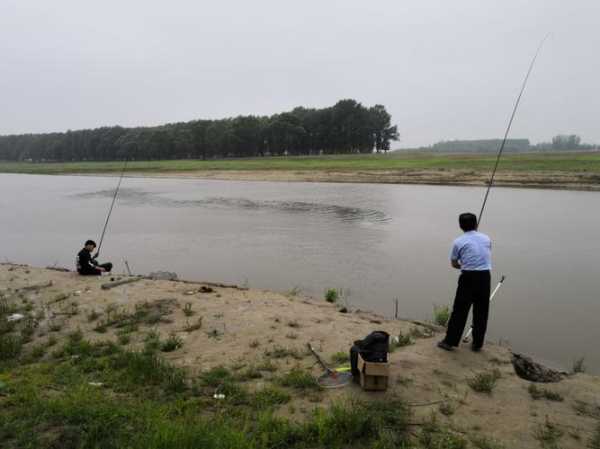 辽河湿地钓鱼怎么样，辽河湿地钓鱼怎么样呀