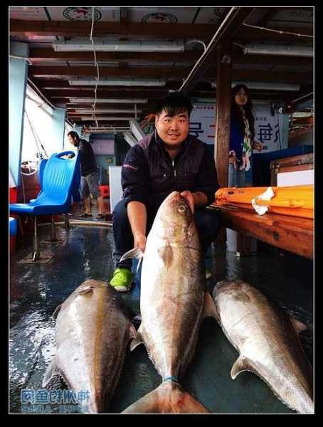 阿木海钓鱼怎么样，阿木海鲜