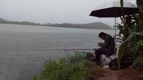 暴雨天钓鱼怎么样，暴雨天气钓鱼！