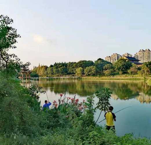 龟山湖钓鱼怎么样？龟山湖生态园？