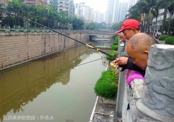 钓鱼老头乐怎么样？钓老头鱼视频？