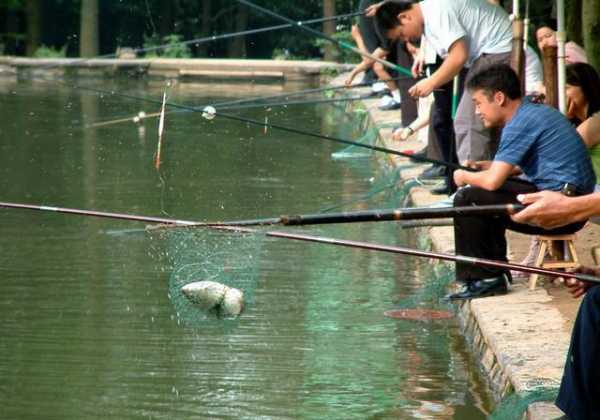 在河上钓鱼怎么样，在河里钓鱼是不是违法