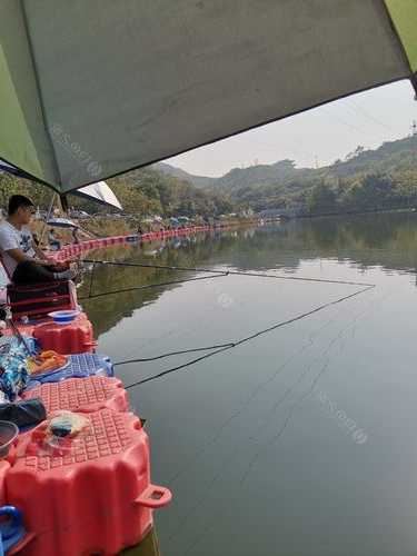 涿州今天钓鱼怎么样，涿州钓鱼按斤收费的地方？