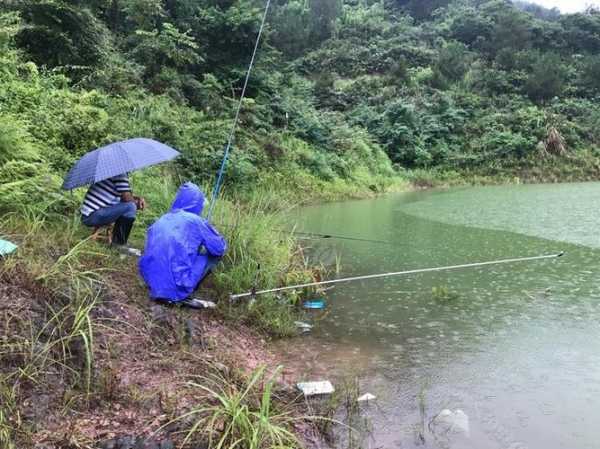 桃源下雨钓鱼怎么样，桃源附近钓鱼的地方！