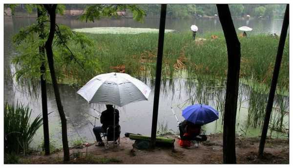 雨中钓鱼技术怎么样？雨中钓鱼图片大全？