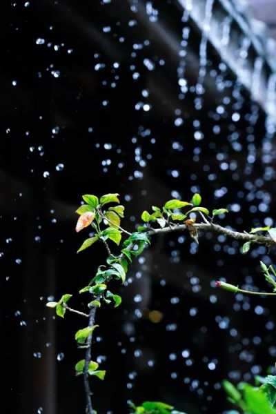 初春小雨钓鱼怎么样，初春小雨钓鱼怎么样了！