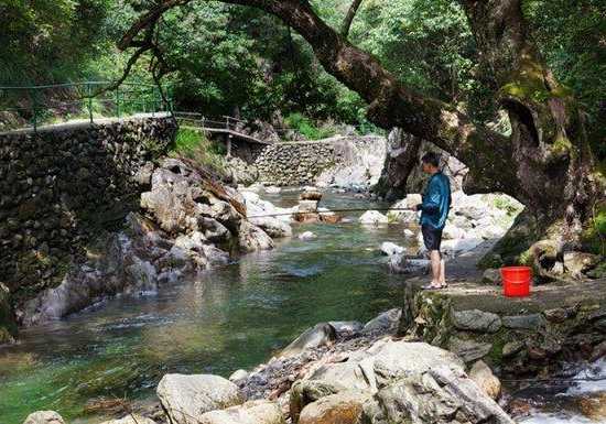 南宁溪水钓鱼怎么样，南宁溪水钓鱼怎么样啊