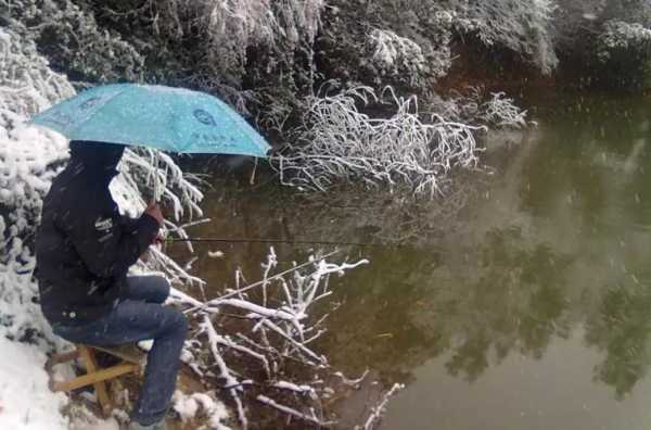 浙江冬天钓鱼怎么样，浙江冬天钓鱼怎么样啊？