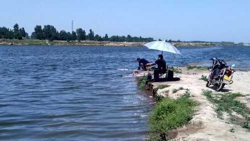 滹沱河畔钓鱼怎么样，滹沱河有大鱼吗