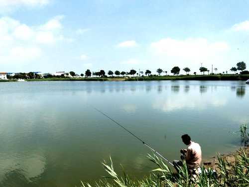 胶州东湖钓鱼怎么样，胶州东湖钓鱼怎么样好玩吗