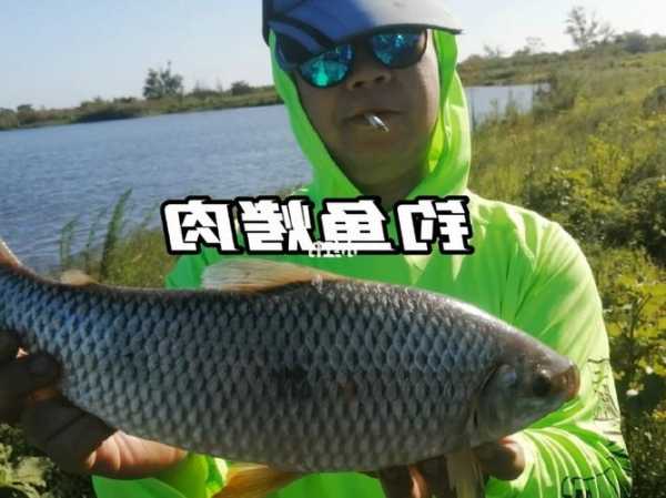 牛肉钓鱼效果怎么样？牛肉 钓鱼？