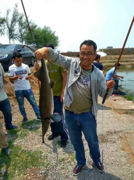 亮亮钓鱼怎么样，亮亮鱼料？