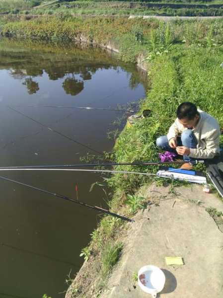 华阳鱼塘钓鱼怎么样，华阳野钓