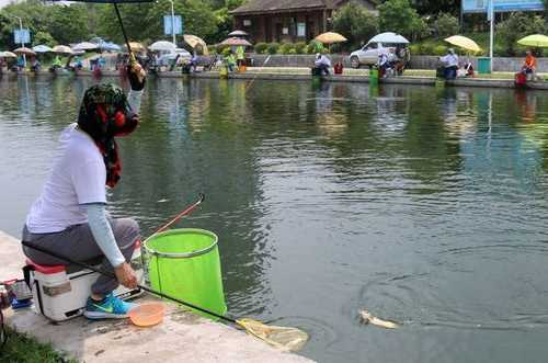 水牛公园钓鱼怎么样，水牛小镇旅游场景？