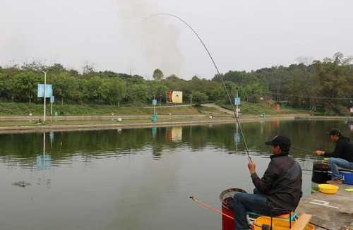 水牛公园钓鱼怎么样，水牛小镇旅游场景？