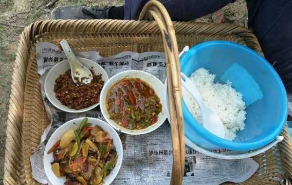 平地钓鱼送饭怎么样，平地钓鱼送饭怎么样啊！