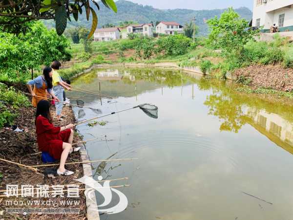 宜宾钓鱼钓虾怎么样，宜宾周边钓龙虾地点！