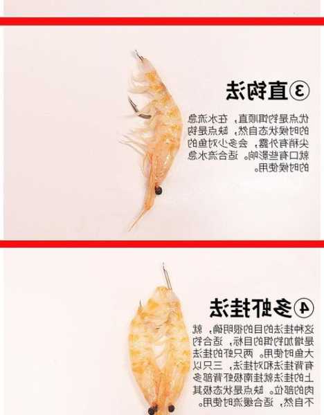 鳞虾钓鱼怎么样，鳞虾钓鱼怎么样才能钓到？