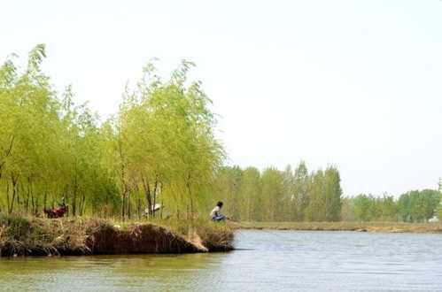 岗南春季钓鱼怎么样，安丘青云建设