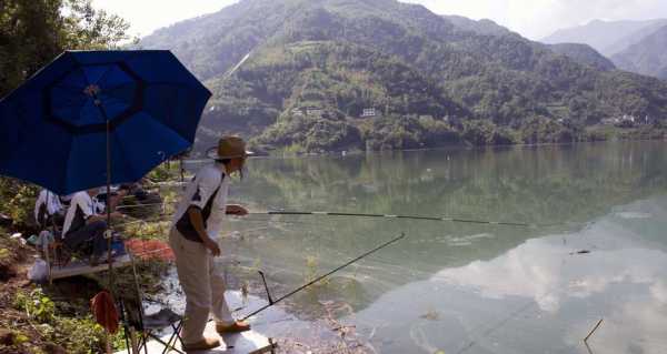 洞口溪流钓鱼怎么样，洞口县附近钓鱼的地方野钓！