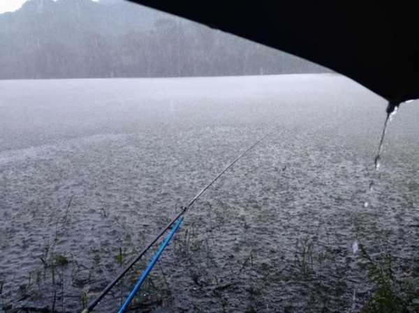 绍兴下雨钓鱼怎么样，绍兴下雨钓鱼怎么样呀！