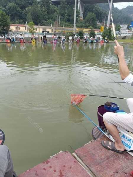 龙里河钓鱼怎么样，龙里河钓鱼怎么样啊？