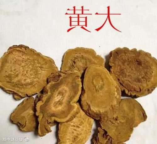 大黄小红钓鱼怎么样，大黄在钓鱼的作用及用量