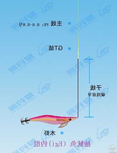 鱿鱼钩钓鱼怎么样？鱿鱼钩钓鱼怎么样才能钓到？