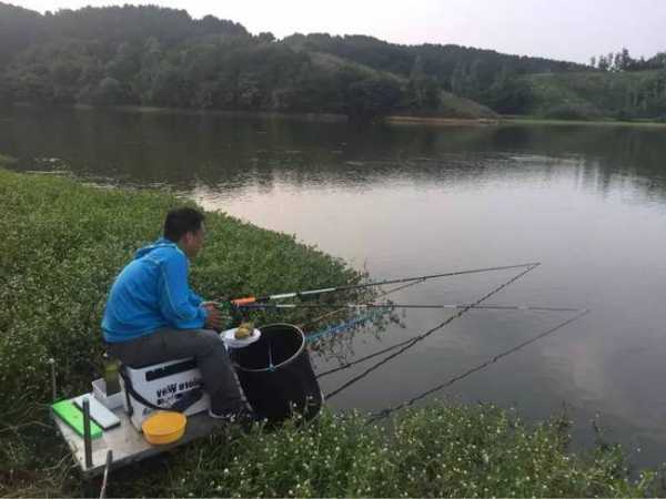 大罐水库钓鱼怎么样，大水罐哪里有卖？