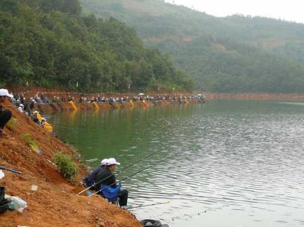 山洞钓鱼露营怎么样，鱼洞野钓