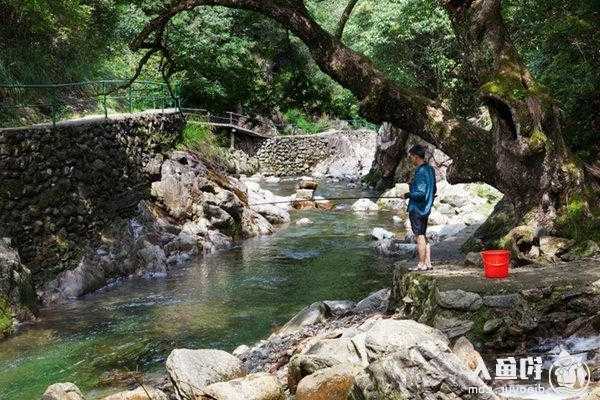 新郑溪流钓鱼怎么样，如何开启固定拨号