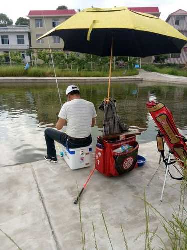 芦溪钓鱼怎么样？芦溪钓鱼怎么样啊？