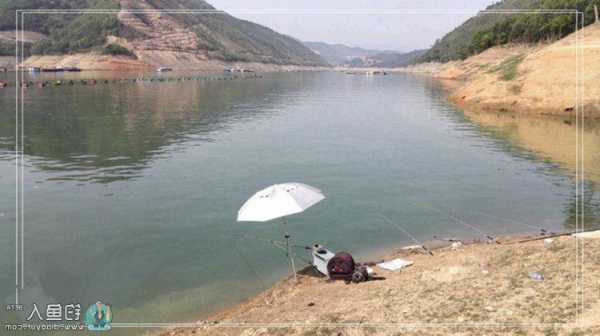 大湖家园钓鱼怎么样，大湖苑在哪