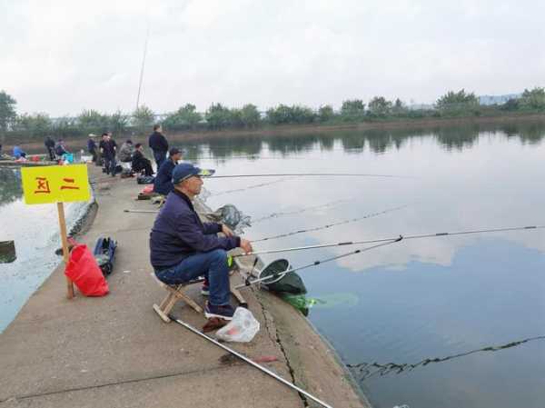 庄头鱼塘钓鱼怎么样，庄头河村