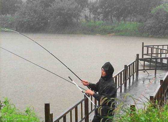 小雨前钓鱼怎么样，下雨前钓鱼？