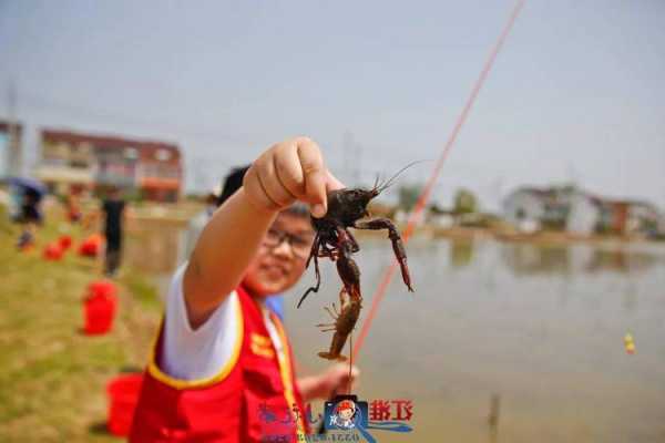 新余钓鱼钓虾怎么样，新余钓鱼钓虾怎么样啊