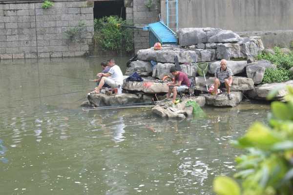 公园小洞钓鱼怎么样，公园小洞钓鱼怎么样啊？