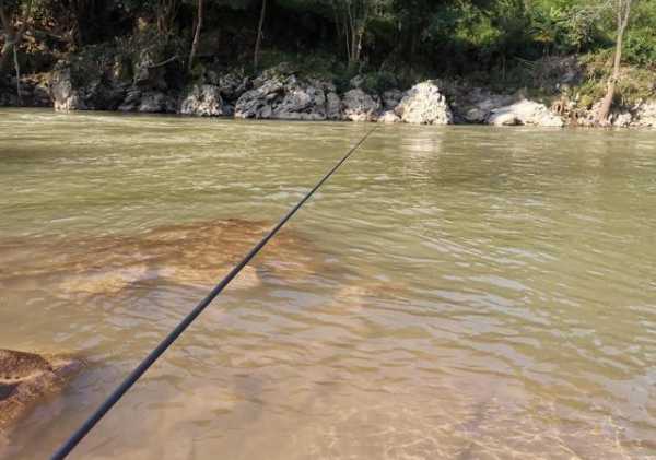 在水里钓鱼怎么样，在水里钓鱼怎么样才能钓到？