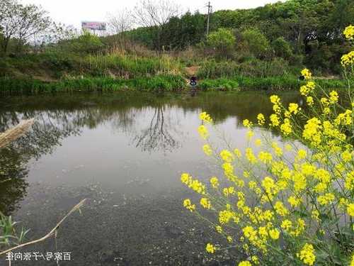 春天钓鱼北风怎么样，春天吹北风要钓深吗