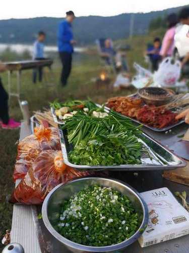 露营吃饭钓鱼怎么样，自驾游露营吃饭视频？