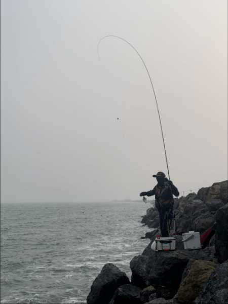 海口大潮钓鱼怎么样，海口大潮钓鱼怎么样好钓吗